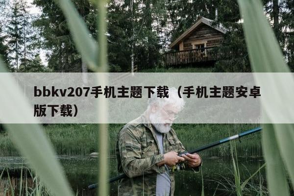 bbkv207手机主题下载（手机主题安卓版下载）