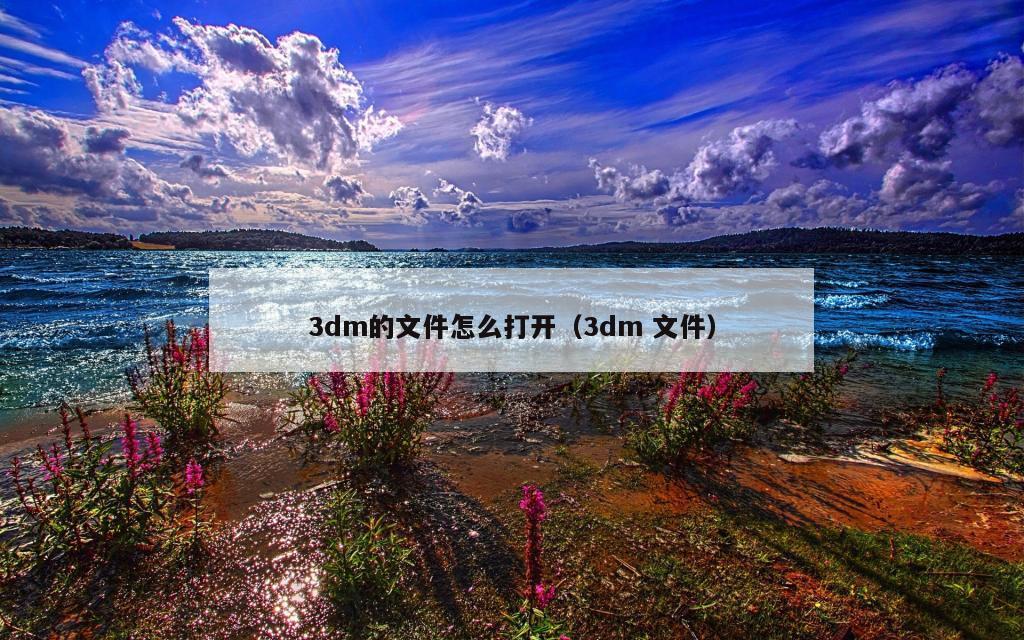 3dm的文件怎么打开（3dm 文件）