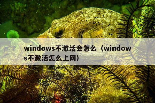 windows不激活会怎么（windows不激活怎么上网）