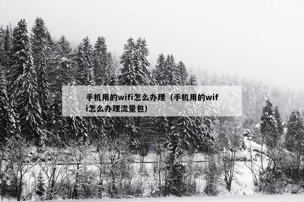 手机用的wifi怎么办理（手机用的wifi怎么办理流量包）