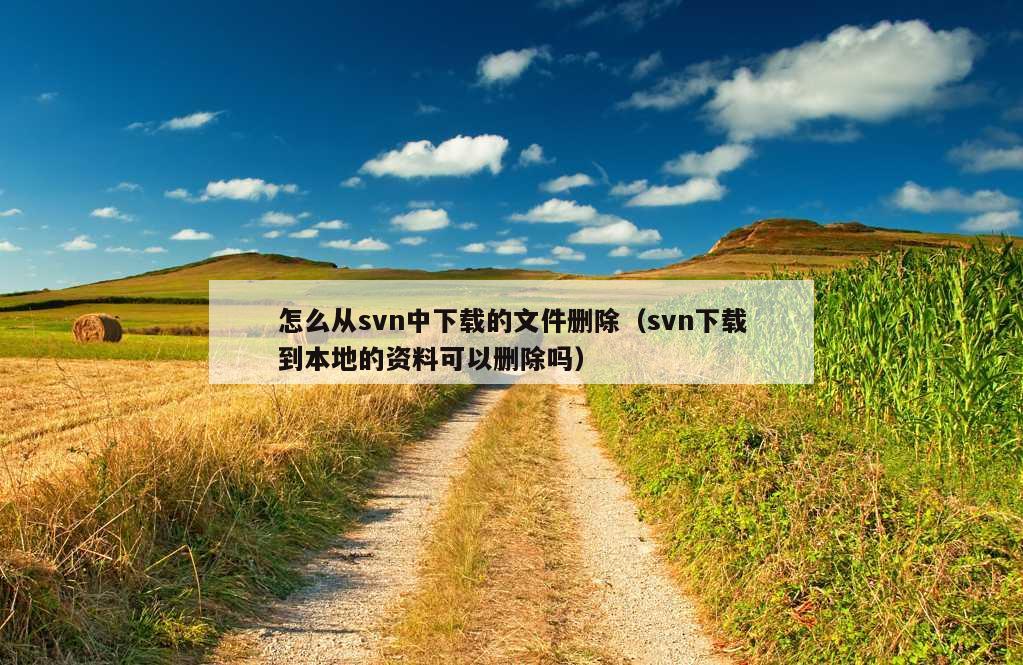 怎么从svn中下载的文件删除（svn下载到本地的资料可以删除吗）