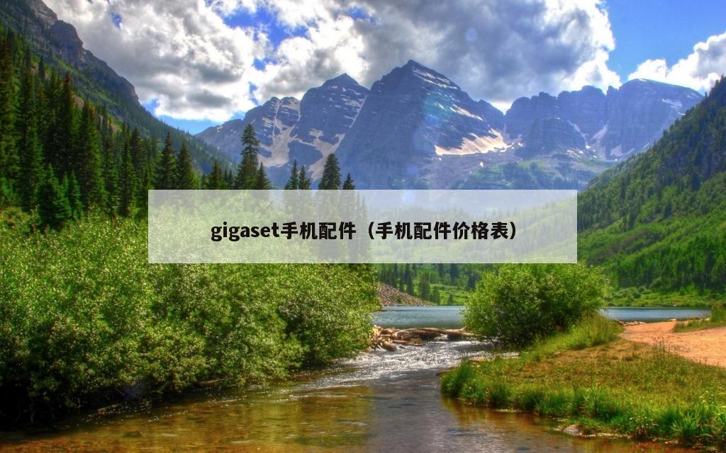 gigaset手机配件（手机配件价格表）