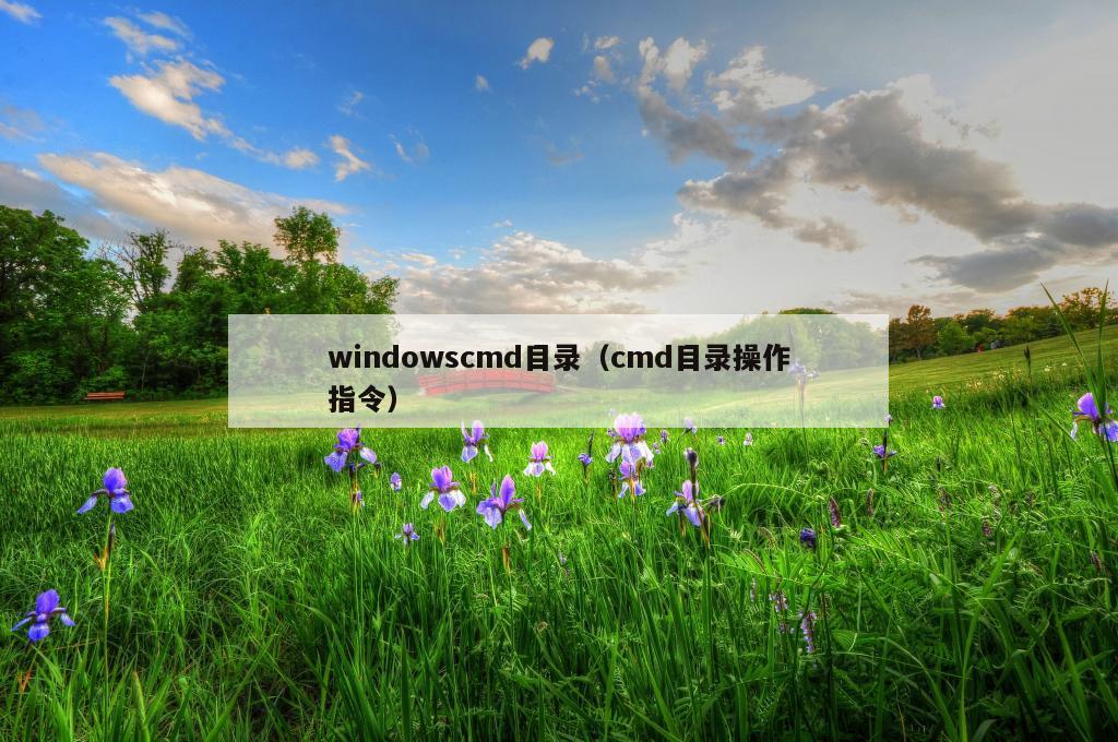 windowscmd目录（cmd目录操作指令）