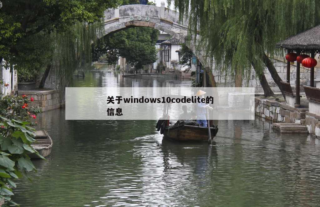 关于windows10codelite的信息