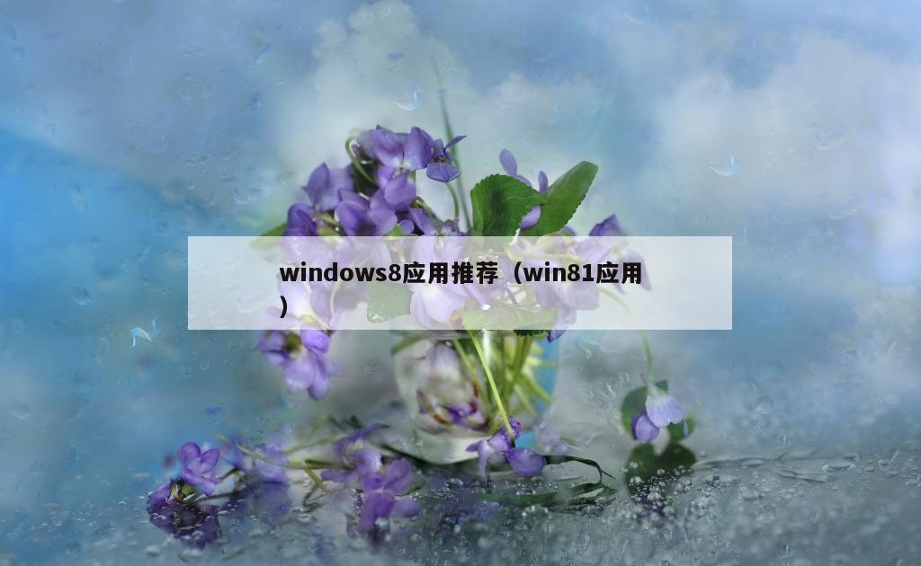 windows8应用推荐（win81应用）