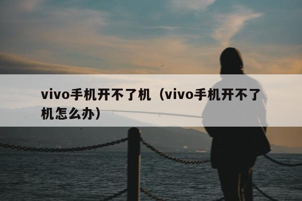 vivo手机开不了机（vivo手机开不了机怎么办）