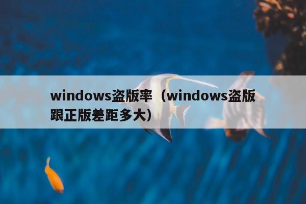 windows盗版率（windows盗版跟正版差距多大）