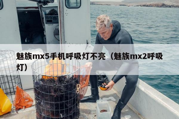 魅族mx5手机呼吸灯不亮（魅族mx2呼吸灯）