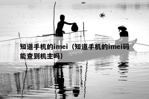 知道手机的imei（知道手机的imei码能查到机主吗）