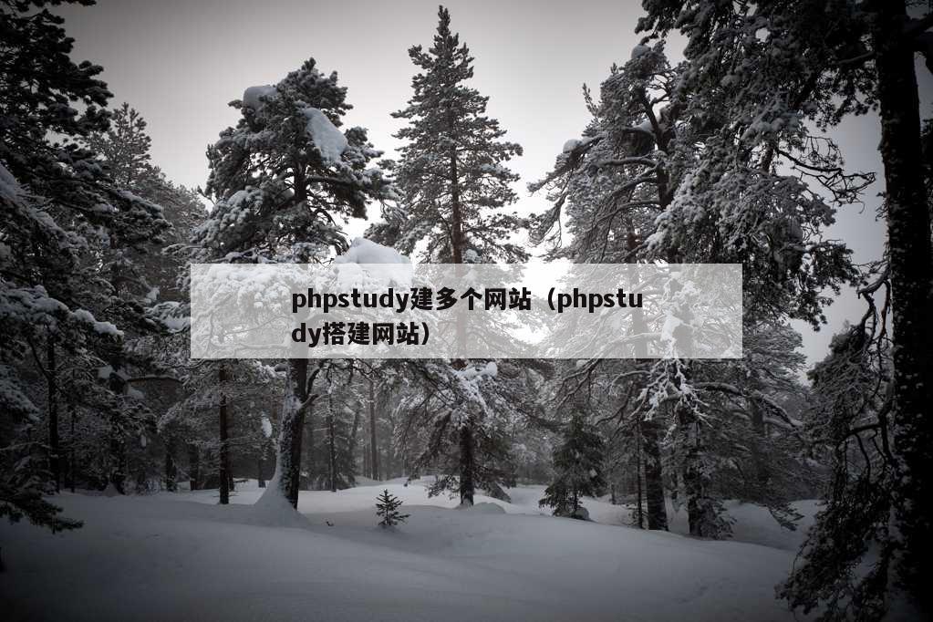 phpstudy建多个网站（phpstudy搭建网站）