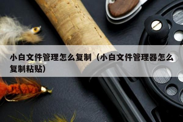 小白文件管理怎么复制（小白文件管理器怎么复制粘贴）