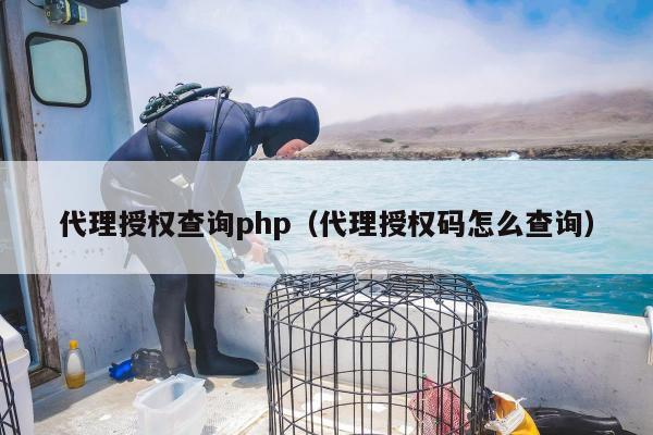 代理授权查询php（代理授权码怎么查询）