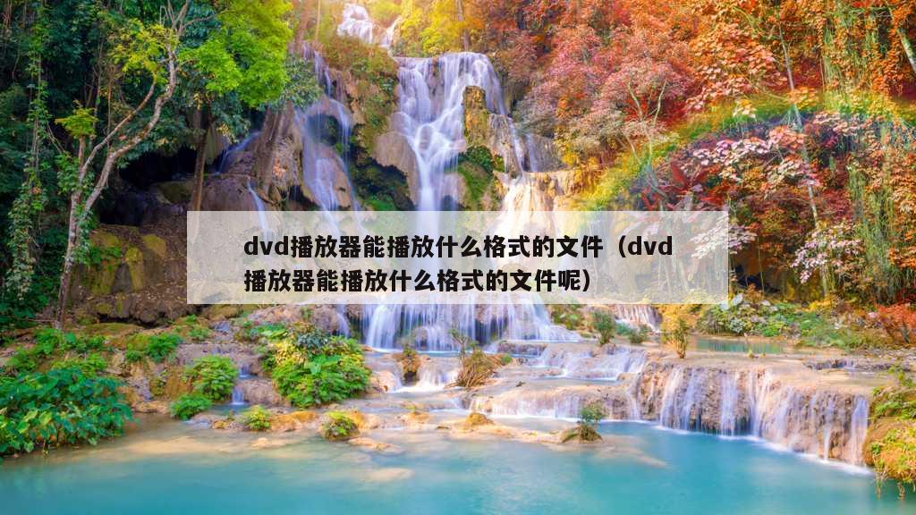 dvd播放器能播放什么格式的文件（dvd播放器能播放什么格式的文件呢）