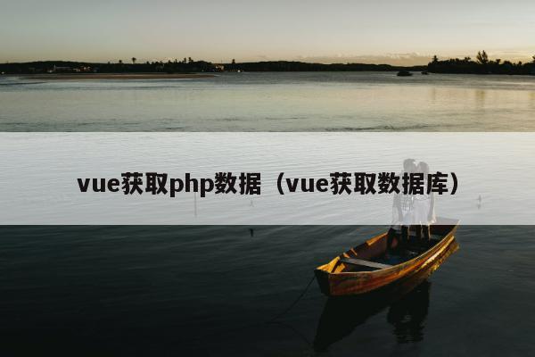 vue获取php数据（vue获取数据库）