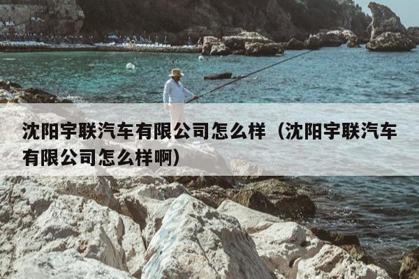 沈阳宇联汽车有限公司怎么样（沈阳宇联汽车有限公司怎么样啊）