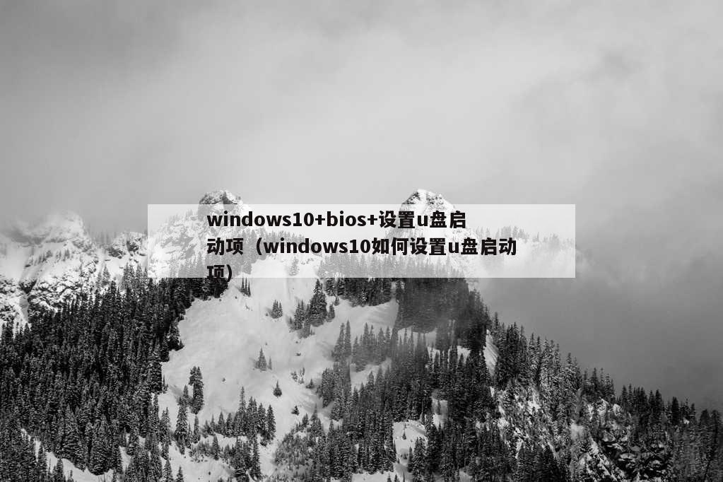 windows10+bios+设置u盘启动项（windows10如何设置u盘启动项）