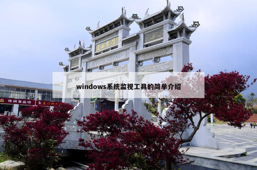 windows系统监视工具的简单介绍