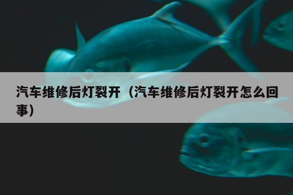 汽车维修后灯裂开（汽车维修后灯裂开怎么回事）