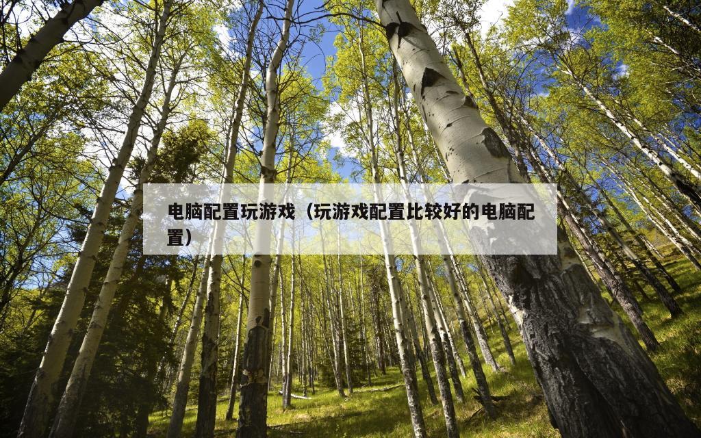 电脑配置玩游戏（玩游戏配置比较好的电脑配置）