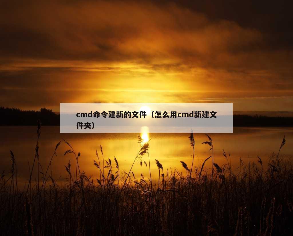 cmd命令建新的文件（怎么用cmd新建文件夹）