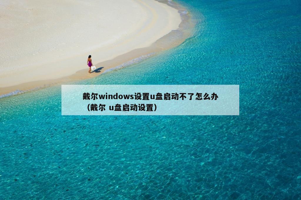 戴尔windows设置u盘启动不了怎么办（戴尔 u盘启动设置）