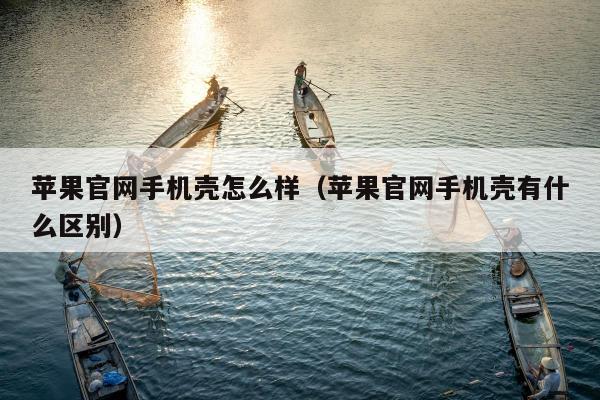 苹果官网手机壳怎么样（苹果官网手机壳有什么区别）