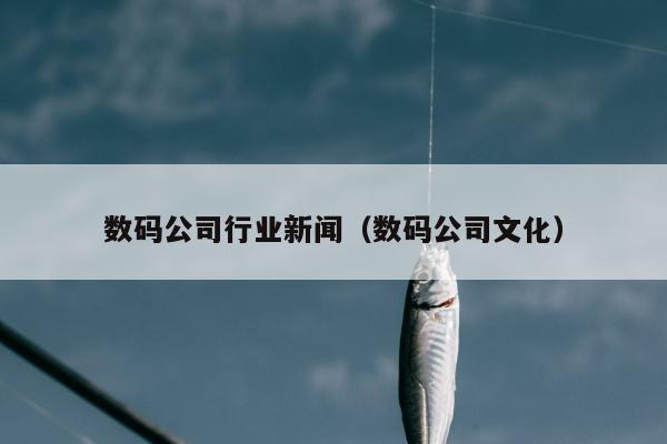 数码公司行业新闻（数码公司文化）