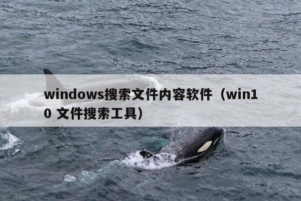 windows搜索文件内容软件（win10 文件搜索工具）