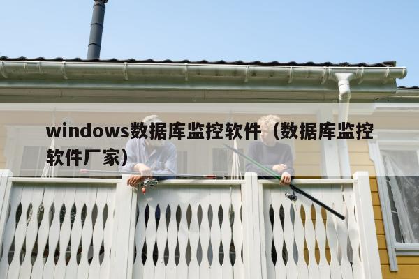 windows数据库监控软件（数据库监控软件厂家）