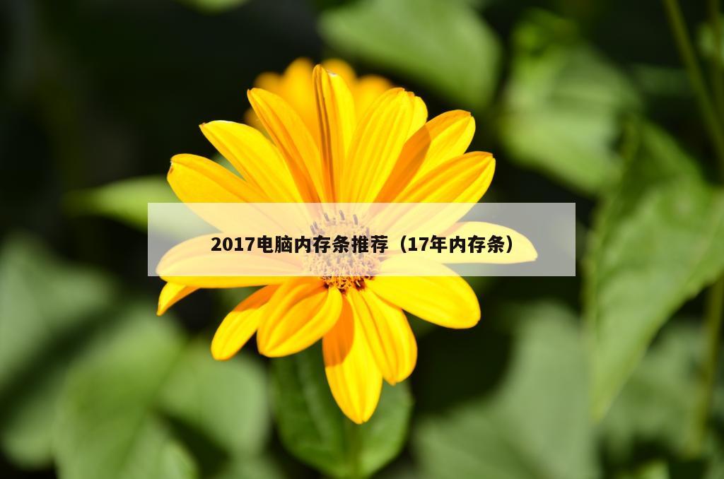 2017电脑内存条推荐（17年内存条）