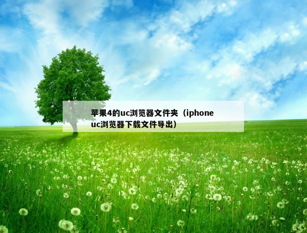 苹果4的uc浏览器文件夹（iphone uc浏览器下载文件导出）