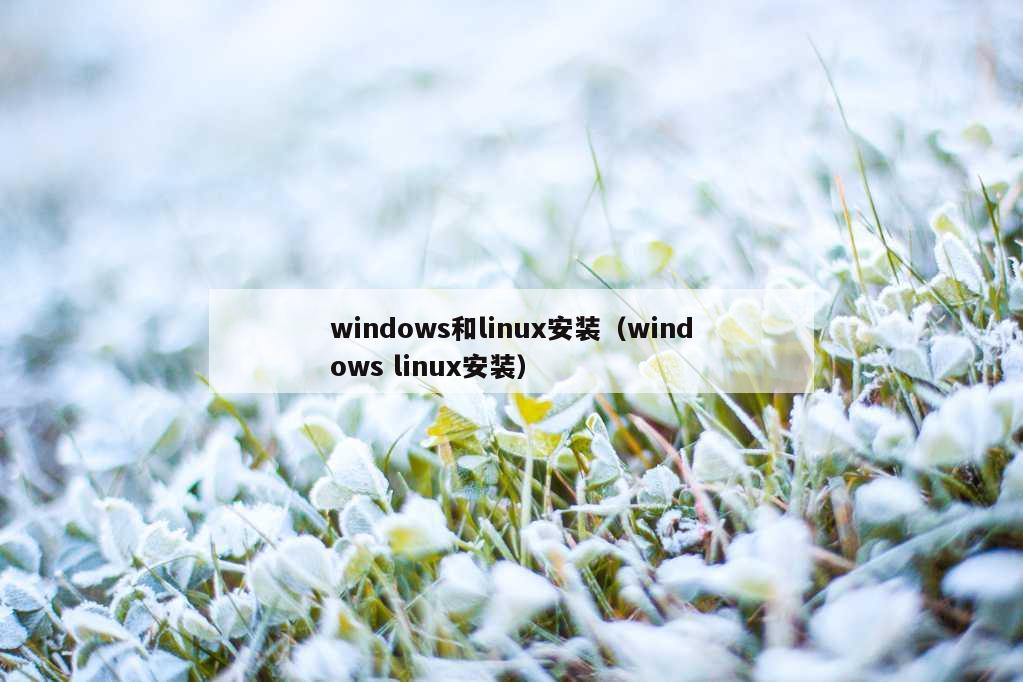 windows和linux安装（windows linux安装）