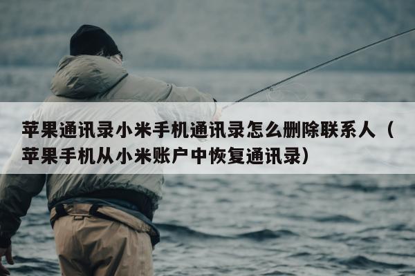 苹果通讯录小米手机通讯录怎么删除联系人（苹果手机从小米账户中恢复通讯录）