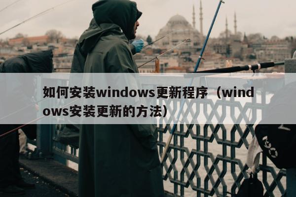 如何安装windows更新程序（windows安装更新的方法）