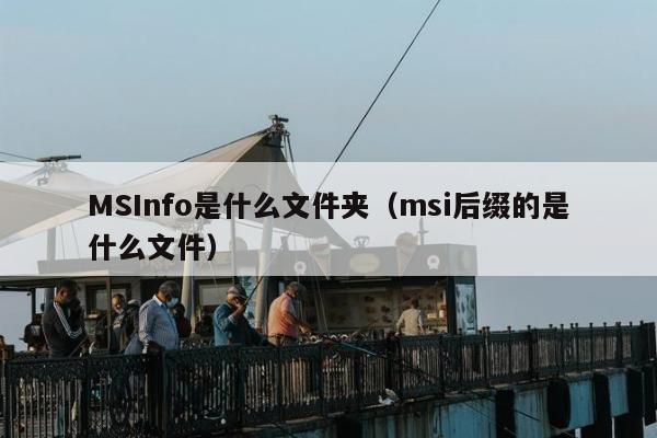 MSInfo是什么文件夹（msi后缀的是什么文件）