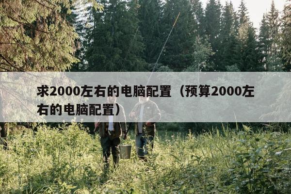 求2000左右的电脑配置（预算2000左右的电脑配置）