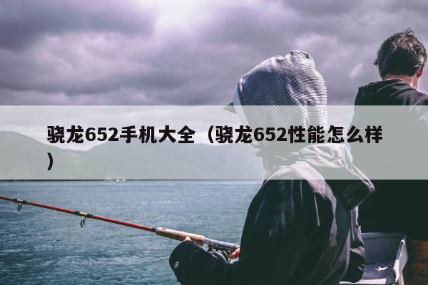 骁龙652手机大全（骁龙652性能怎么样）