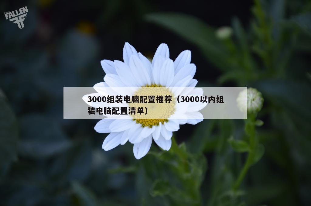 3000组装电脑配置推荐（3000以内组装电脑配置清单）