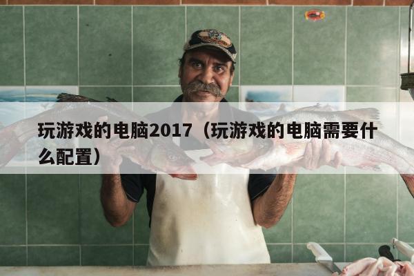 玩游戏的电脑2017（玩游戏的电脑需要什么配置）