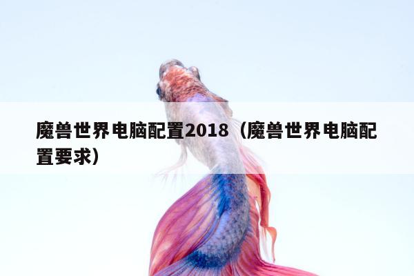 魔兽世界电脑配置2018（魔兽世界电脑配置要求）