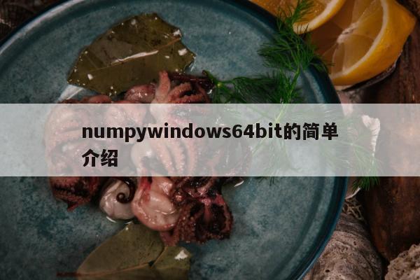 numpywindows64bit的简单介绍