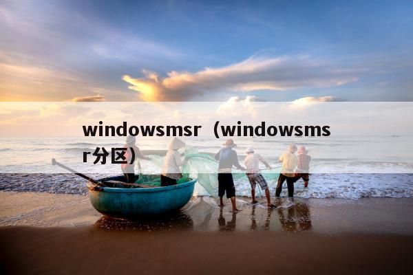 windowsmsr（windowsmsr分区）