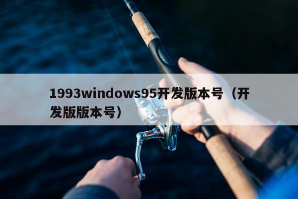 1993windows95开发版本号（开发版版本号）