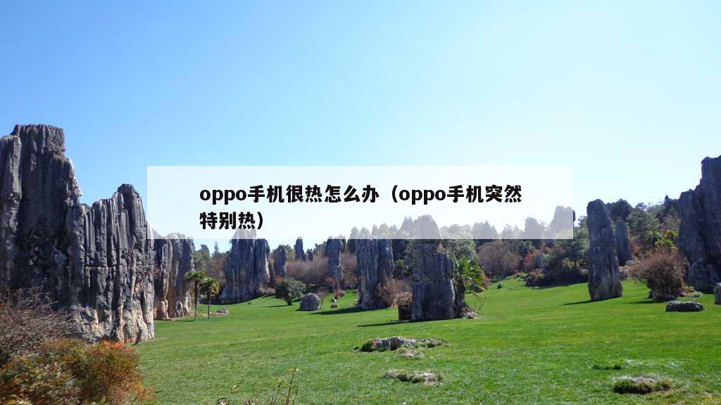 oppo手机很热怎么办（oppo手机突然特别热）