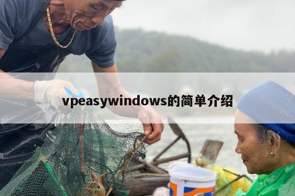 vpeasywindows的简单介绍