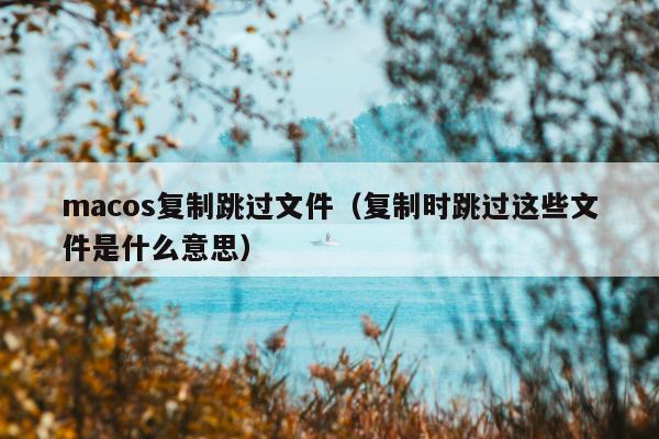 macos复制跳过文件（复制时跳过这些文件是什么意思）