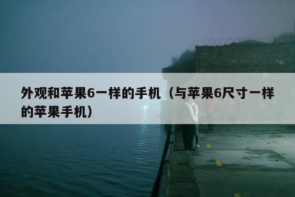 外观和苹果6一样的手机（与苹果6尺寸一样的苹果手机）