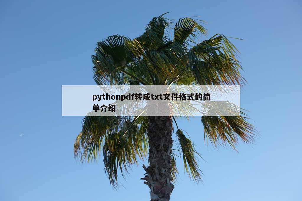 pythonpdf转成txt文件格式的简单介绍