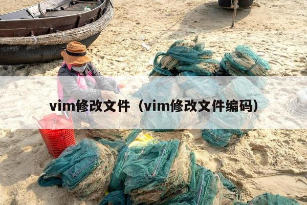 vim修改文件（vim修改文件编码）