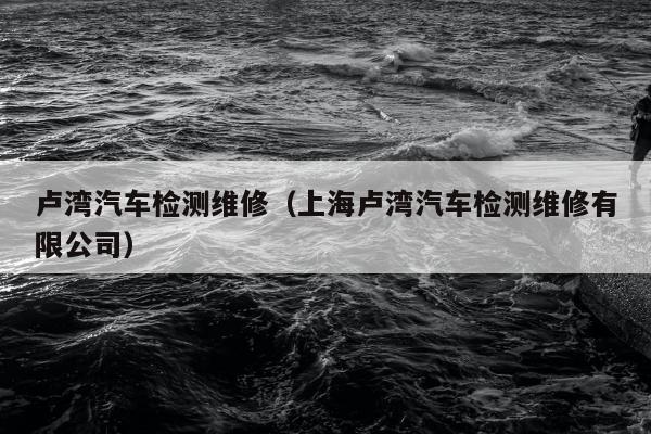 卢湾汽车检测维修（上海卢湾汽车检测维修有限公司）